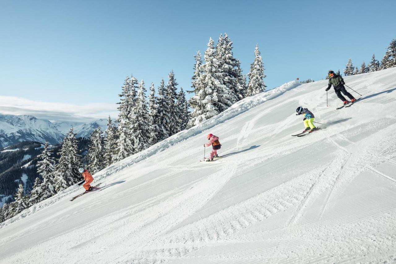 Alpenparks Chalet & Apartment Areitxpress Цел ам Зее Екстериор снимка